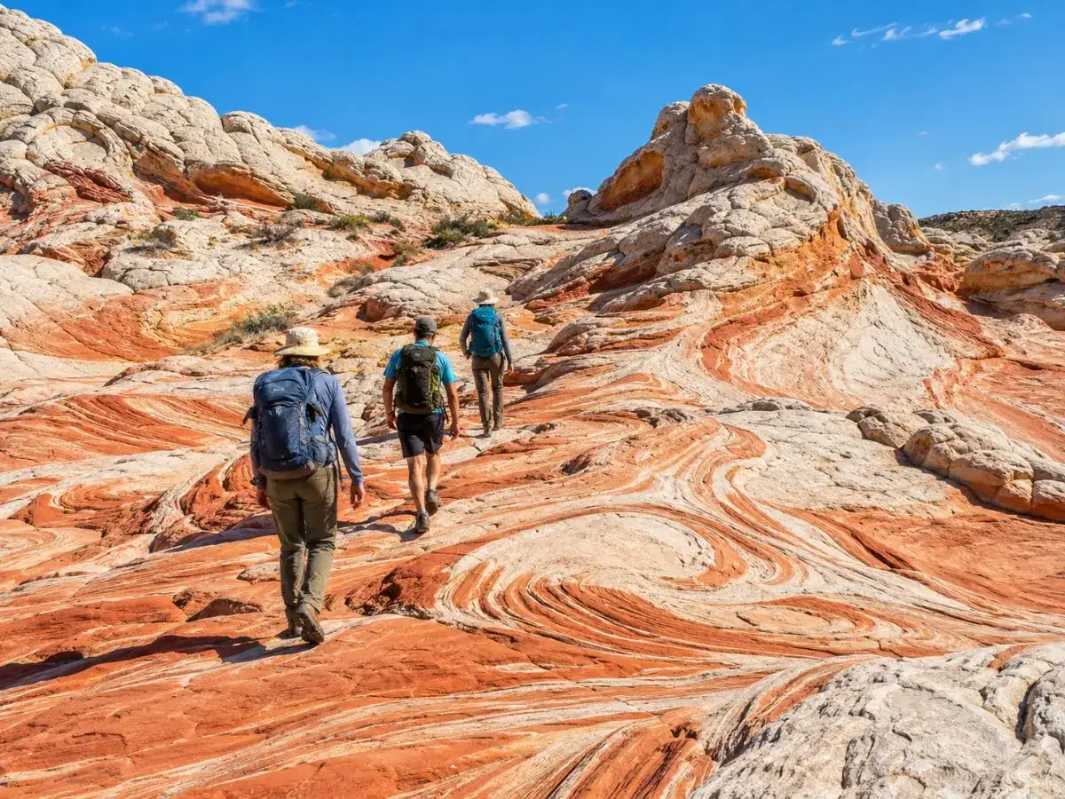 Un piccolo gruppo di escursionisti che cammina su roccia bianca e arancione con venature a White Pocket